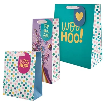 Image of Hallmark Multi Occasion Gift Bag and Tag Bundle 1 Large Bag, Medium Bottle in 3 Bright Designs, Multicoloured