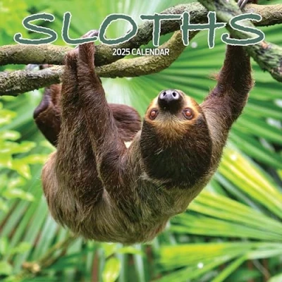 Image of Sloths 2025 Calendar
