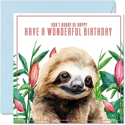Image of Sloth Birthday Cards for Men &amp; Women Don&#039;t Hurry Be Happy Animal 145mm x Greeting Cards, Card Mum Dad Sister Brother Daughter Uncle Auntie Bestie Work Colleague Friend