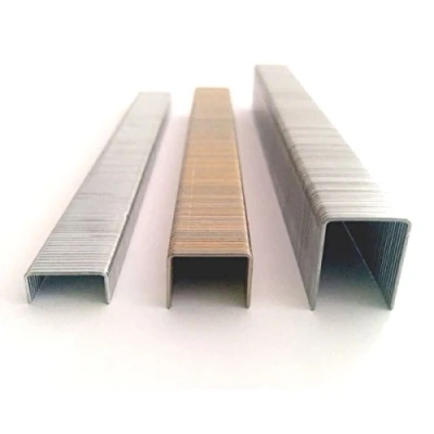 Image of Staples for Light use 80 Series Crown 12.8 mm Stainless Steel 12
