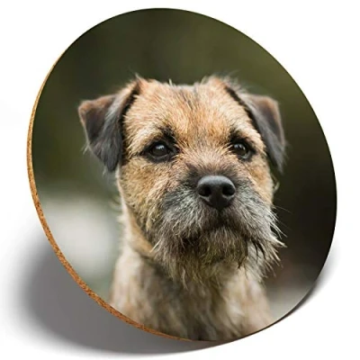 Image of 1 X Border Terrier Dog Puppy Round Coaster Kitchen Student Kids #15940