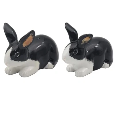 Image of Lesser &amp; Pavey Rabbits Salt Pepper Set for All Types of Kitchen Ceramic Shaker Lovely Pots Suitable Home or Office