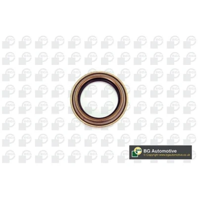 Image of 1521590, 5C161175AA Gaskets LCC TR1441 Rear Axle FORD: Transit Mk6 Van, Minibus