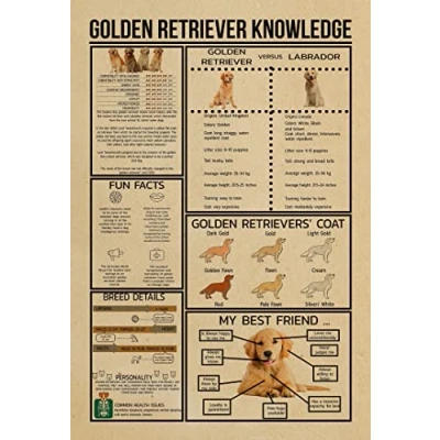 Image of TNND Golden Retriever Knowledge Vintage Anatomy Decor Poster Wall Art Metal Sign 8X12 Inches