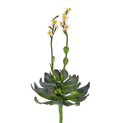 Image of artplants.de Decorative Aeonium on spike, rose coloured blossoms, 12&quot;/30cm Artificial succulent/Cactus plant