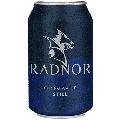 Image of Radnor Still Spring Water Cans 330ml (Box 24)
