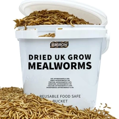 Image of Premium Dried Mealworms in 5L, 10L, and 20L Buckets High Protein Bird Feed for Wild Garden Birds Natural Nutritious Food (20 Litre)