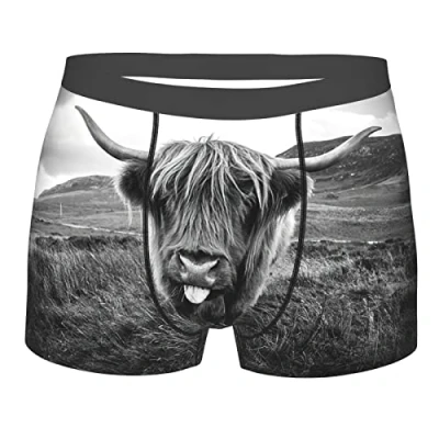 Image of 501 Highland Cow Men&#039;S Boxer Briefs Cool Sports Undershorts Stretchy Athletic Underwear Soft Boxers Trunk M