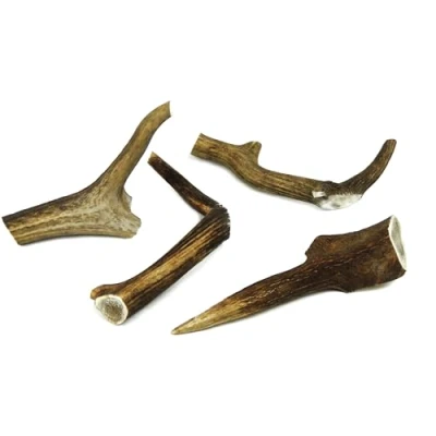 Image of Natural Deer Antler Dog Chew XXL, 7 Inches (19cm), 200 250g Long Lasting, All Dental for Extra Large Dogs Promotes Healthy Teeth and Gums