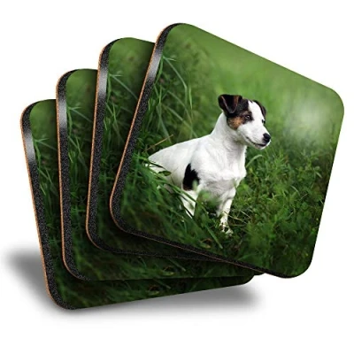 Image of Destination Vinyl ltd Great Coasters (Set of 4) Square Jack Russell Terrier Dog Puppy Drink Glossy Coasters/Tabletop Protection for Any Table Type #16927