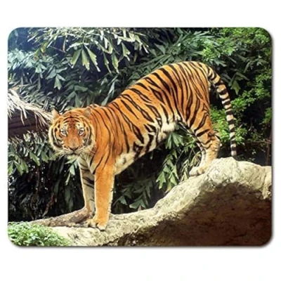 Image of Beautiful Tiger Mouse Mat Pad Big Cat Tigers Animal Mum PC Computer #8574
