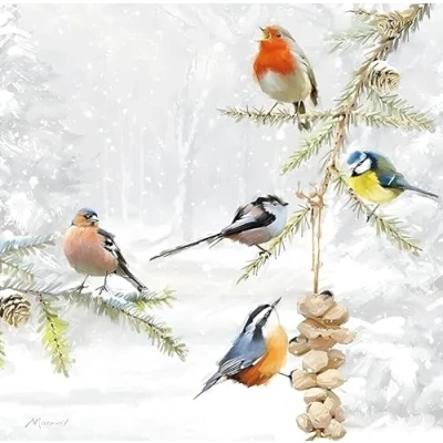 Image of Paper House Christmas Cards PHXBA0031 Box 16 Stunning Artistic Art Festive Birds Winter Feeder &amp; Birdbath