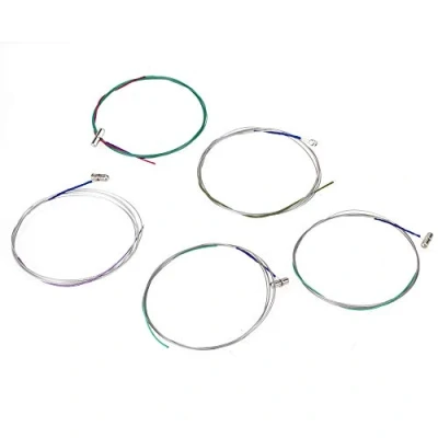 Image of BQLZR Professional Type Chinese Guzheng Strings Music Steel Wire(#1 #5) A Pack of 5