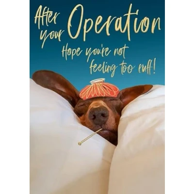 Image of Abacus Cards After Your Operation Get Well Card Dog with Thermometer in Bed Embossed a Foil Finish Eco Friendly and Recyclable