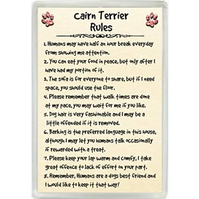 Image of Cairn Terrier Rules Humour Jumbo Fridge Magnet Ideal Dog Lover Birthday Gift M146