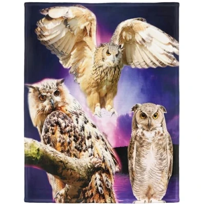 Image of YISUMEI blanket cuddly blankets soft flannel fleece bedspread Owl Purple, Polyester, White, 150x200 cm