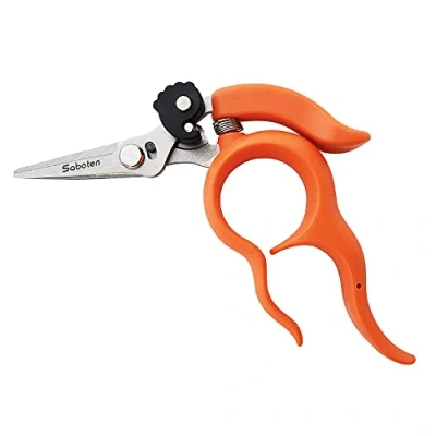 Image of Cactus grape scissors grain B 2 (japan import)