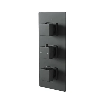 Image of Milano Preto 2 Outlet Triple Thermostatic Concealed Mixer Shower Valve Black