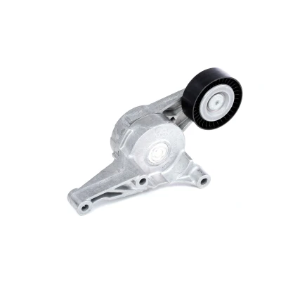 Image of 03G903315C, 03G903315D Tensioner Pulley SKF VKM 31054 VOLKSWAGEN: Golf 5, Transporter Passat B6 Variant, AUDI: A3 Sportback, Hatchback