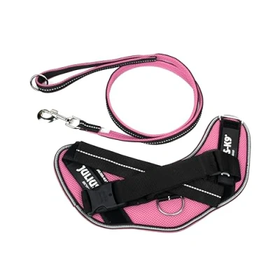 Image of IDC Powair Bundle Harness, Size: M/0, Pink + Leash, 1,2 m with Handle and Large Carabiner,