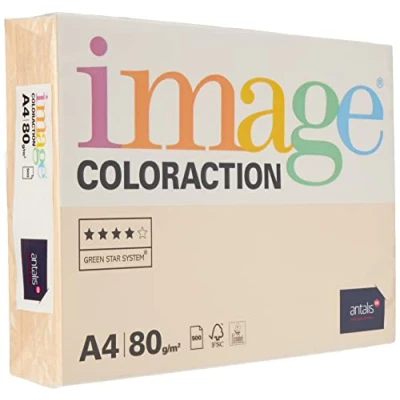 Image of Antalis ColorAction Colour Printing Paper for Inkjet Laser Copier Printer 80 g 500 Sheets A4 Savannah/Salmon