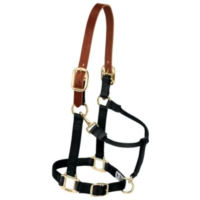 Image of Weaver Leather Nylon Adjustable Breakaway Horse Halter, Small, Black