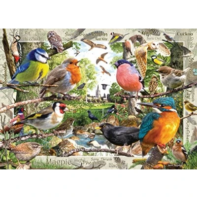 Image of Ravensburger Our Feathered Friends 1000 Piece Jigsaw Puzzles for Adults and Kids Age 12 Years Up Animals &amp; Birds
