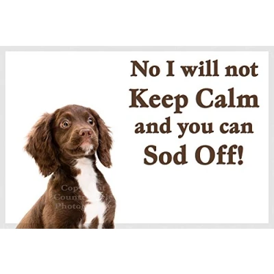 Image of Brown Cocker Sprocker Spaniel Puppy Funny Fridge Magnet Gift