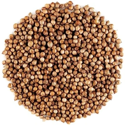 Image of Coriander Seed Organic Gourmet Quality Cilantro Seeds for Elevating Dishes 100g