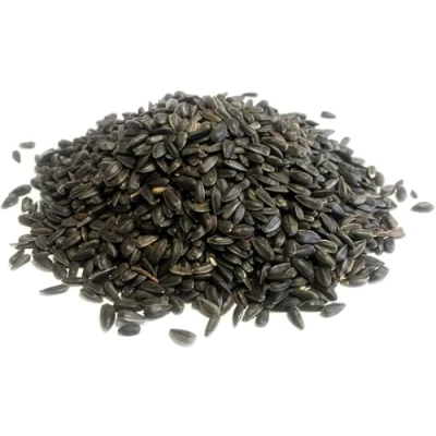 Image of *NEW* 10 Litre Refill Bag Black Sunflower Seed Premium Wild Bird Food (Weight 5kg/approx. 10L)