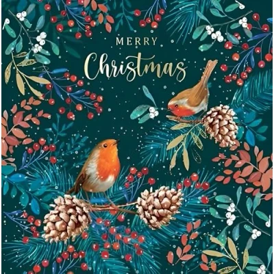 Image of Noel Tatt Charity Christmas Cards Pack of 10 with Robins and Festive Foliage Design Eco Friendly Xmas Multipack Envelopes