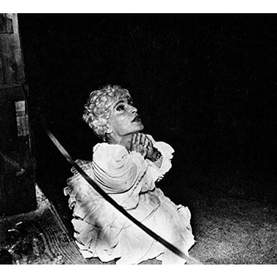 Image of Deerhunter Halcyon Digest 180gram White vinyl + PVC Sleeve 2010 USA LP CAD3X38