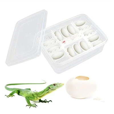 Image of TARTIERY Incubators, Reptile Breeding Box With Thermometer,Hatching Professional Small Climbing Pet Incubators For Eggs, Hatching Gecko,lizards, Lions Mane