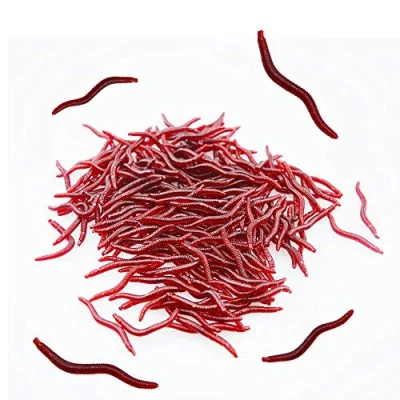 Image of Senven artificial earthworm, Biomimetic Soft Silicone Earthworm Baits Worm Fishing Lures Simulation Red Worms plastic Green Environment Strong Temptation Bait Fake RedWorm 200Pcs