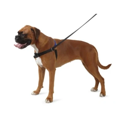 Image of Ancol/Pure Dog Listeners Stop Pulling Training Harness &amp; Lead Set Small Size 3 4 (inc DVD)