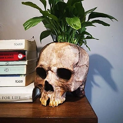 Image of YE&amp;ZI Modern Skull Flower Pot, Resin Shaped Head Design Pot Planter, Creepy Multifunction Vase for Home Office Desk Halloween Decoration (A)