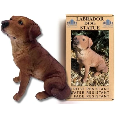 Image of G&amp;H 23cm Yellow Labrador Retriever Resin Statue Hand Painted Dog Patio Figurine Intricate Detail Suitable for Indoor or Outdoor Use Weather Resistant Golden Puppy Lawn Ornament (Chocolate)