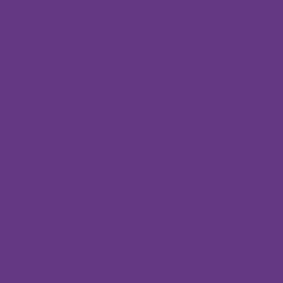 Image of 240 x Sheets (1/2 Ream) 20&quot; 30&quot;Acid Free Coloured Tissue Paper Purple Violet