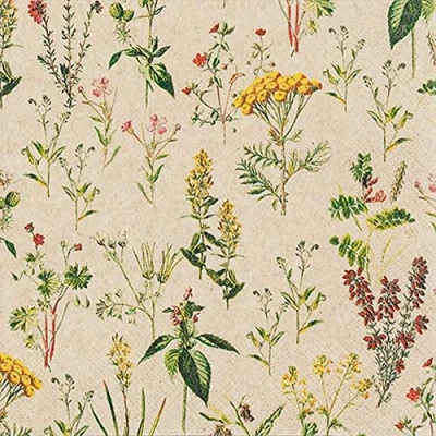 Image of Eco Line Sustainable Napkins Made from 100% Recycled Paper Meadow Full of Plants Flowers Spring Summer Table Decoration 33 x cm Pack 20