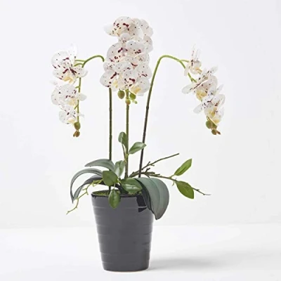 Image of HOMESCAPES Artificial White Orchid In Pot 56 cm Tall Lifelike Faux Plant Black Ceramic with Real Touch Silk Flowers and Green Leaves Phalaenopsis Flower for Indoor Decoration