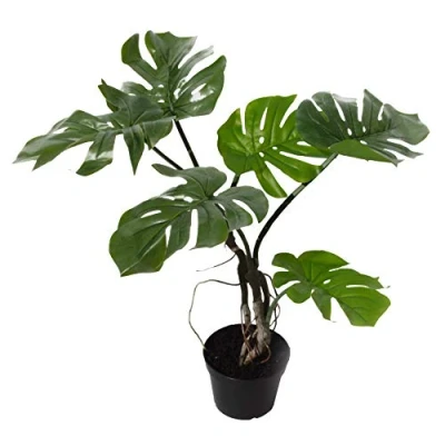 Image of LEAF 7538 60cm Artificial Twisted Stem Plant, Monstera Vine