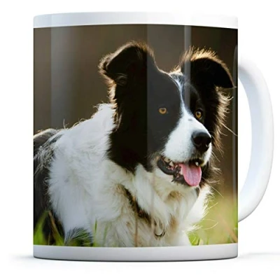 Image of Playful Border Collie Drinks Mug Cup Kitchen Birthday Office Fun #8614