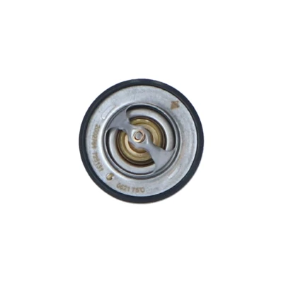 Image of 2120058G00, 2120058G02, 2120058G04, 2120076203 Engine thermostat NRF 725131 76C with seal ring without housing MITSUBISHI: L200 III Pickup