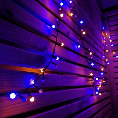 Image of 3.75M 150 LED Frosted Berry Christmas Cap Lights in Rainbow with Timer Indoor or Outdoor