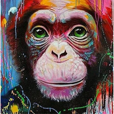 Image of OWN4B Cross Stitch Kits Stamped, Cute Colorful Monkey Printed Pattern 11CT 14.2x14.2 inch DIY Embroidery Kit (Monkey)