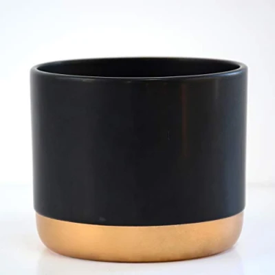 Image of Thompson &amp; Morgan Two Tone Black Gold Small Ceramic Plant Flower Pot Round Modern Stylish Simple Design for Indoor House Plants Succulents 1 x
