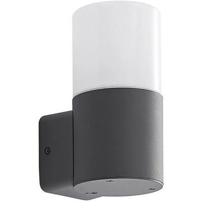 Image of Lindby Tabyn outdoor wall light, one bulb