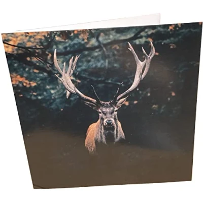 Image of Maturi Stag Photographic Blank Birthday Greetings Card, 15.5 x cm