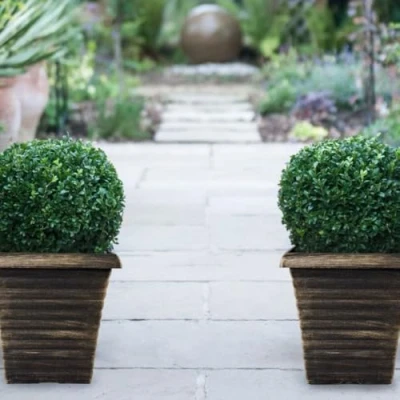 Image of Thompson &amp; Morgan Biscotti Planter Collection Elegant Square Planters for Patio and Garden Décor Durable Weatherproof 4x 23cm Pots