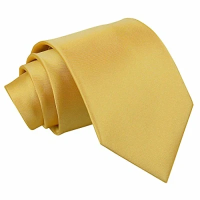 Image of DQT Plain Glossy Satin Polyester Wedding Classic Neck Tie for Men in Gold